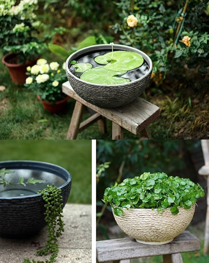 睡蓮鉢　特大　大型　水甕　中国　甕　宜興　水鉢　メダカ　鉢　蓮　ハス 睡蓮鉢特大大型水甕中国甕宜興水鉢メダカ鉢蓮ハス